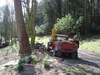  a good mornings work in the sun.